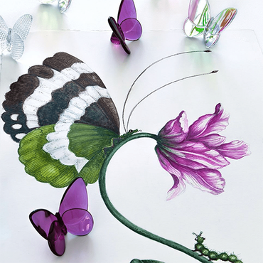 Lucky Butterfly Peony