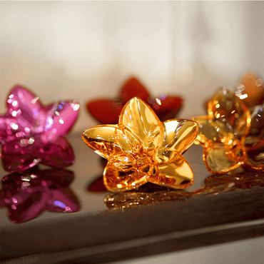 The Bloom Collection Gold