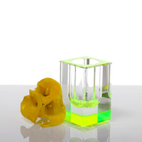 Bloomin’ Vase Green Short