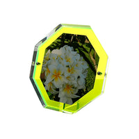 Bolt Snap Frame Green