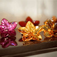 The Bloom Collection Gold