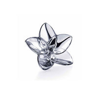 The Bloom Collection Silver
