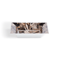 Roberto Cavalli Vajillas TROPICAL JUNGLE TIDY TRAY BLACK